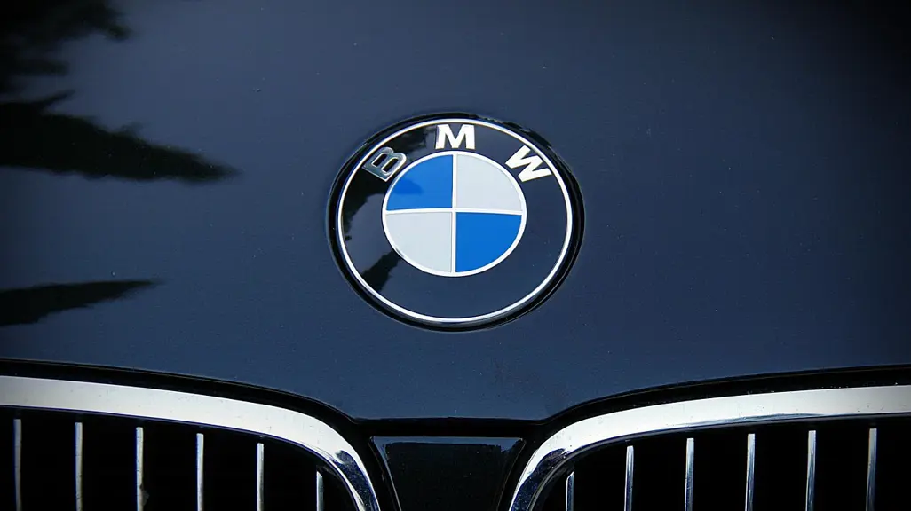 BMW Announces Global Recall Over Fire Risk