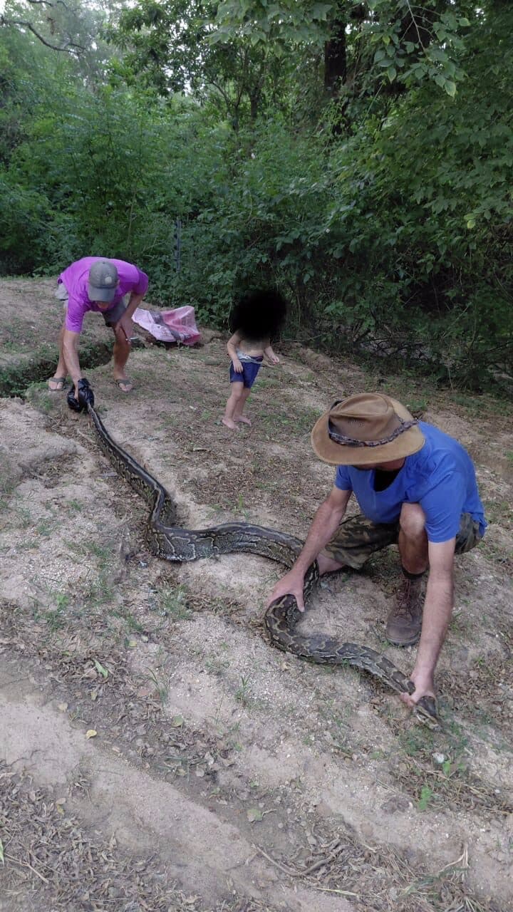 Snakes Keep Hazyview Residents on Alert