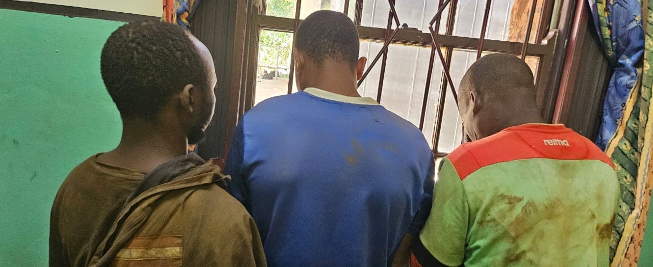 Illegal Mining Crackdown in Mpumalanga