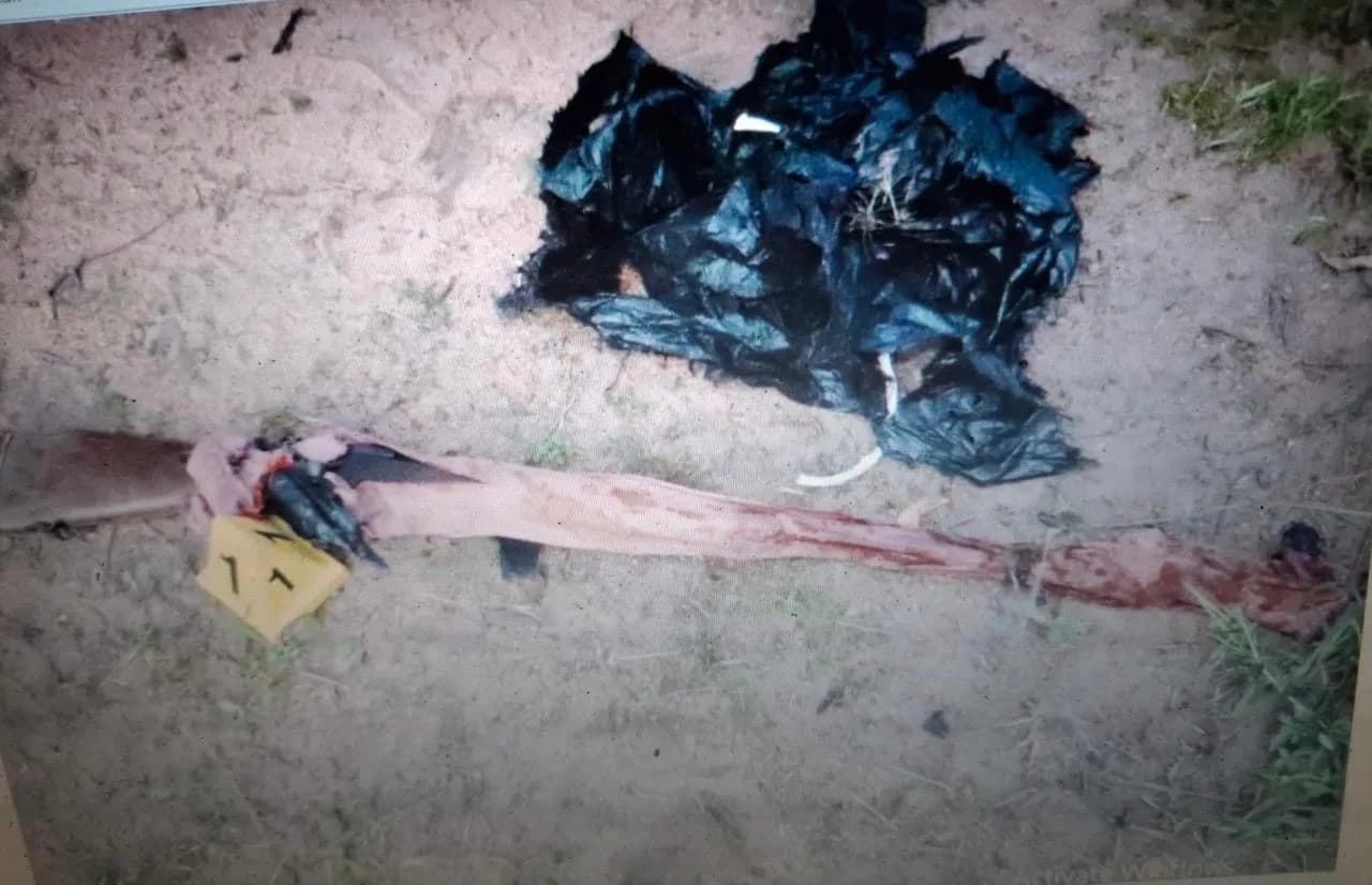 Poaching Suspect Arrested in Kruger Park