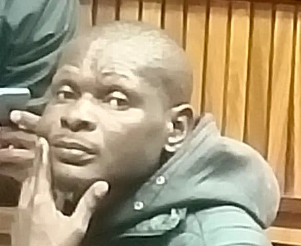 Derrick Mnisi known as the "Shabalala Trust"Â Rapist Jailed for Two Life Terms