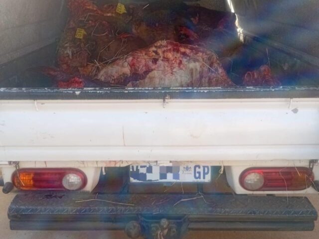 Five Arrested in Greylingstad Stock Theft