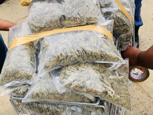 Foreign National Arrested with Dagga Haul